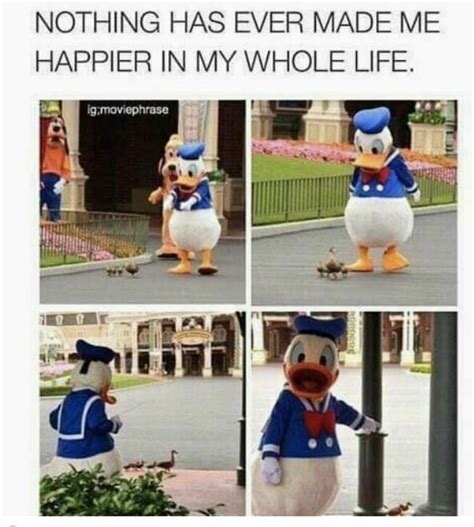 The Duck Helping Out Ducks Wholesomememes Funny Disney Memes