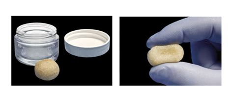 Bacterins Dbm Putty Cleared For Spinal Fusion Orthopedics This Week