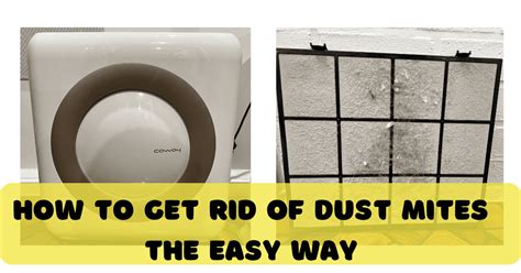 How To Get Rid Of Dust Mites Our Ultimate Guide