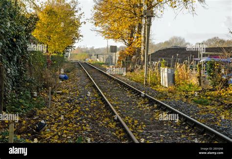 View Along A Single Railway Track Covered With Fallen Yellow Leaves Of