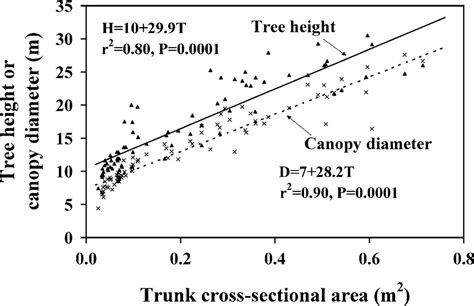 Estimated diameter of the tree's canopy, that is, the upper part which includes the. Relationship of Trunk Size to Selected Canopy Size ...