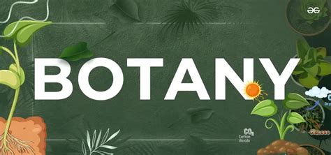 Botany Definition History Branches And Importance Of Botany