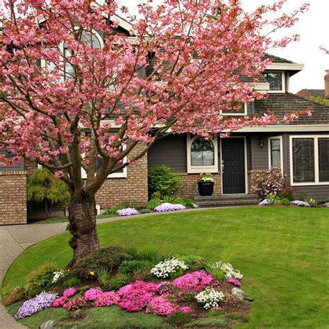 Discover 21 different flowering trees for your landscape. Spring Flowering Trees and Shrubs to Plant Now - The Home ...