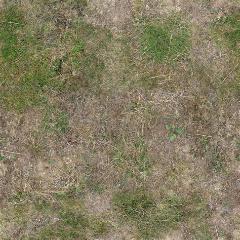 Dead Grass Texture