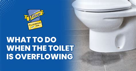 What To Do When The Toilet Is Overflowing Village Plumbing