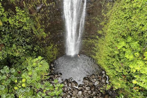 Manoa Falls Take A Hike To See This Stunning Waterfall Which Is