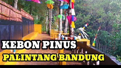 Wisata Hutan Pinus Palintang Bandung Jawa Barat YouTube