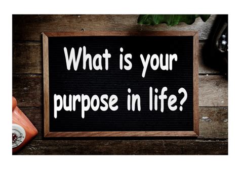 What Is Your Purpose In Life Husehill