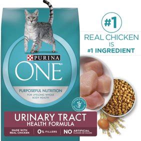 For instance, my cat is a big fish eater and really never liked any beef flavored foods so i bought her a fish flavored dry food. Purina One Sensitive Stomach & Skin natural Dry Cat Food ...