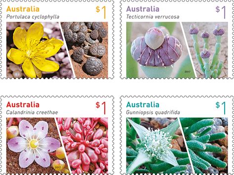 Take A Look At The Beauty And Diversity Of Australian Succulent Flora