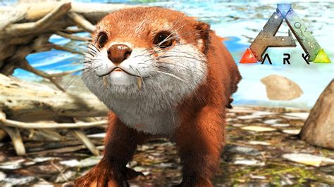 Finding Otters Ark Survival Evolved Youtube