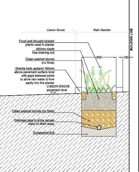 Section Through Rain Garden Lisson Grove Westminster City Council