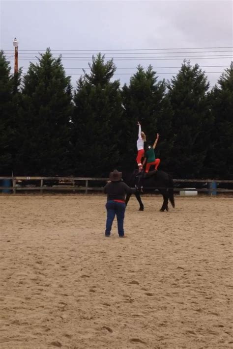 Two People Are Riding Horses In The Sand With Trees In The Backgrouds