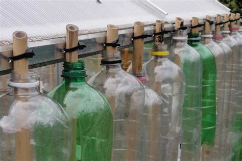 Building A Bottle Greenhouse Plastic Bottle Greenhouse Diy Plastic