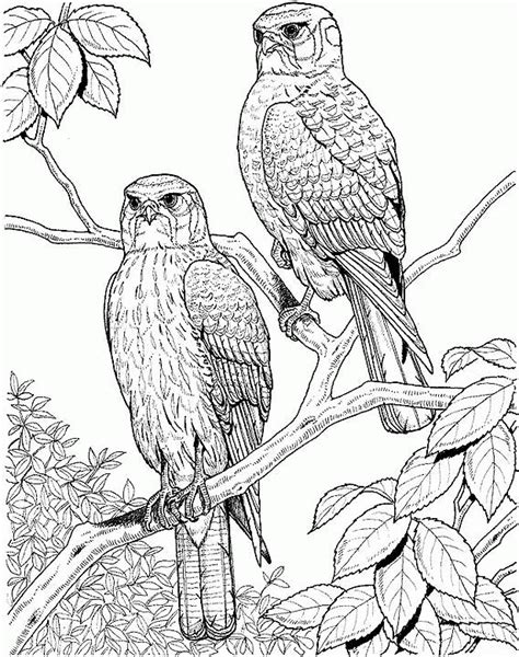 Download Nature Coloring Pictures Background Colorist