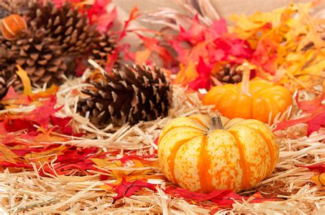 You'll also find love photos of couples of different races and sexual orientation because love looks into people's hearts. Autumn Theme And Pumpkin Photograph by Joe Belanger