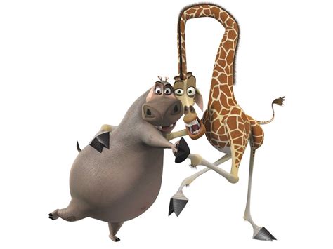Gloria And Melman Madagascar Movie Madagascar Giraffe