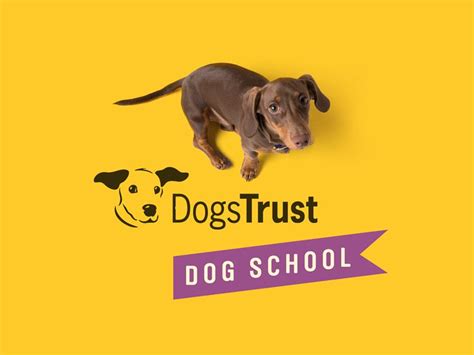 Dogs Trust Dog School Classes At Mount Vernon Community Hall Glasgow