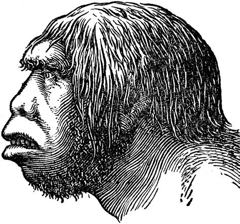 Neanderthal Man Clipart Etc