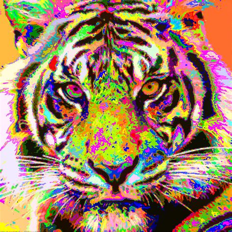 Colorful Tiger Painting By Samuel Majcen Pixels