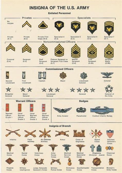 The Best Us Military Rank Insignia Chart References
