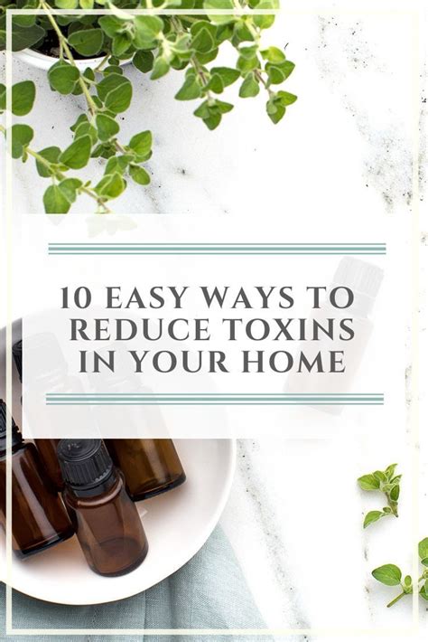 10 easy ways to reduce toxins in your home right now vita mode maison