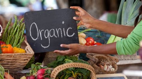 Can Organic Farming Become Sustainable on a Global Level?