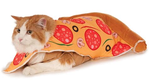 Cute Cat Halloween Costumes That Youll Want To Pounce On Stat