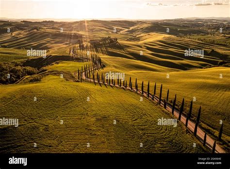 Treelined Road Winding Across Rolling Landscape At Sunset Stock Photo