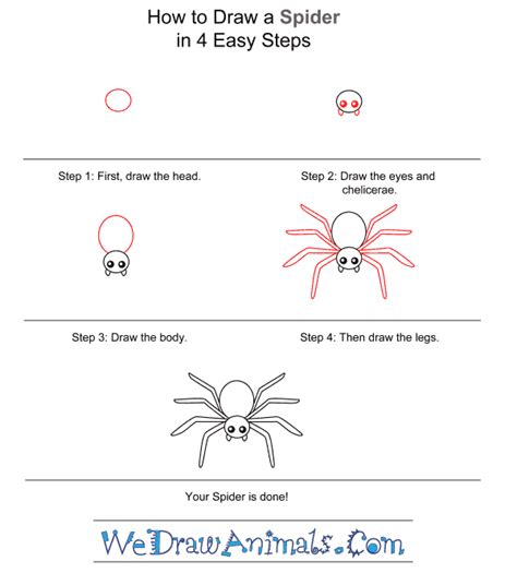 How To Draw A Simple Spider For Kids