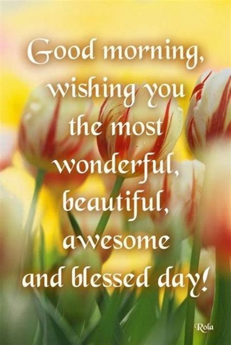 Wishing You The Most Wonderful Beautiful Awesome And Blessed Day