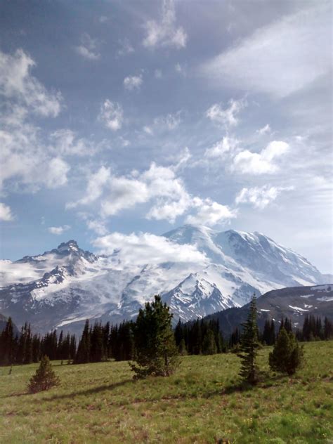 Mount Rainier National Park Pierce County Washington