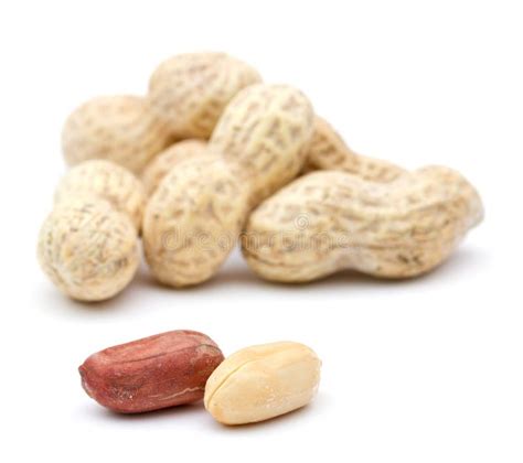 Peanuts Stock Photo Image Of Allergen Bunch Peanuts 17752694