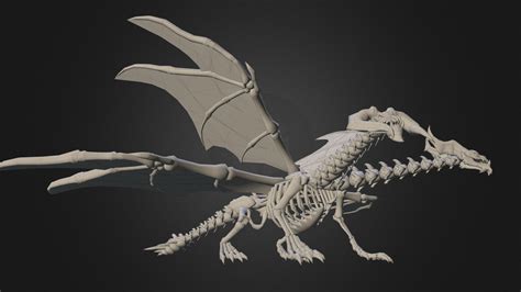 Skeleton Dragon 3d Model By Cheng Yu Jprf99 Be59d66 Sketchfab
