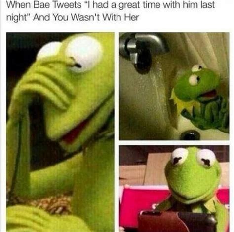 Hilarious Kermit The Frog Memes Take Over The Web