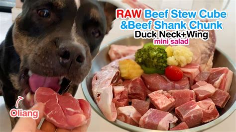 Oliang The Pit Bull Eats Raw Beef Stew Cubeandduck Neckwing Asmr
