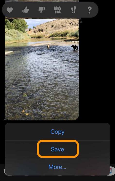 How To Quickly Save Multiple Images From Text Messages On Iphone