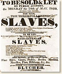 Slave Auctions In The S