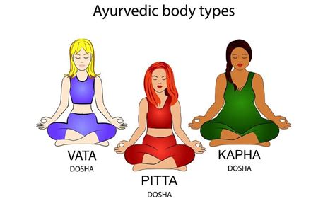 Ayurvedic Body Type Tridoshas Vata Pitta And Kapha