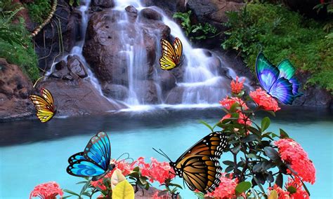 3d Butterfly Live Wallpaper For Android Apk Download
