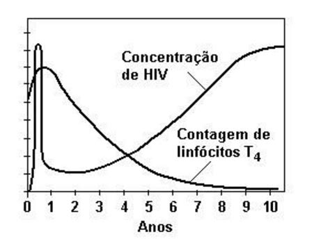 A Analise Do Grafico Anterior Que Mostra As Transformaçoes Sofridas