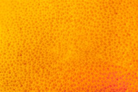 Free Photo Extreme Close Up Of An Orange Peel