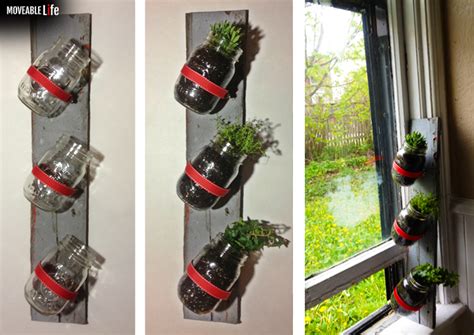 Mason Jar Herb Garden Diy Growing Plant Herb On The Wall