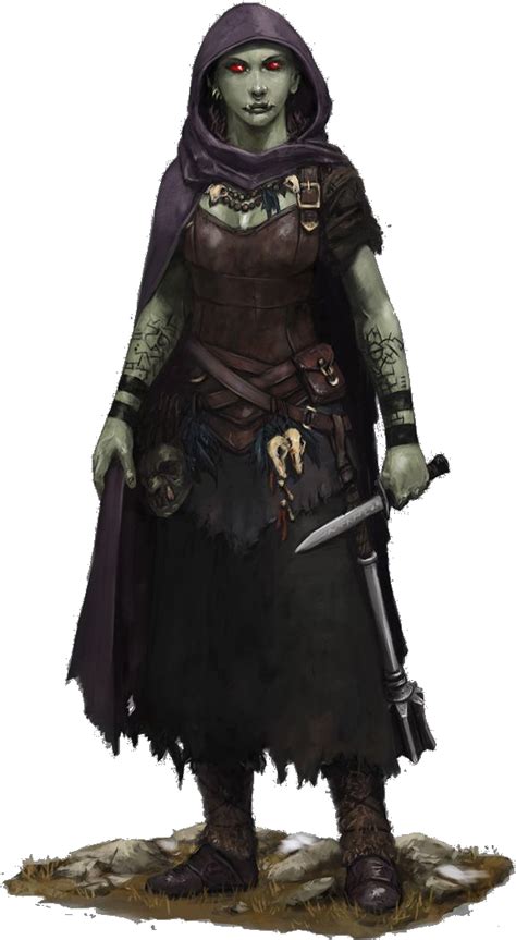 Download Fantasy Orc Rogue Character Art