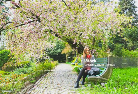 Schöne Mädchen Sitzt Auf Der Bank Im Garten Unter Blühenden Baum Blossom Sakura Im Freien