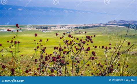 Scenery Of The Lake Baikal Olkhon Island Irkutsk Siberian Russia