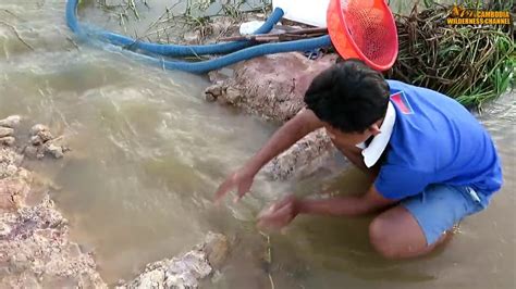 Ikan merupakan salah satu sumber protein yang banyak diminati oleh masyarakat. Cara menangkap ikan meunggunakan alat sederhana - YouTube