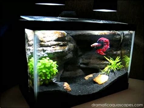 All aquarium background sizes listed represent the specific tank they were designed to fit, though actual sizes will be a bit smaller to ensure a perfect fit based on many of today's most common and popular dimensions. Dramatic AquaScapes - DIY Aquarium Background - Betta Paradise