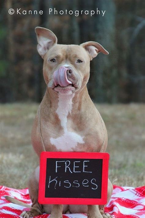 Absolutely Adorable Pet Photography Ideas for Your Next Photo Shoot