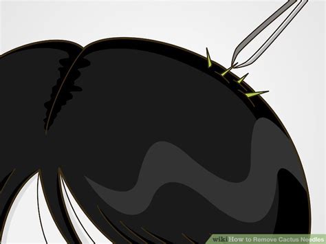 3 Ways to Remove Cactus Needles - wikiHow